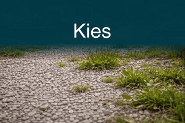 Unkrautfuchs 4.0 Unkraut bekmpfen auf Kies und Schotter_c