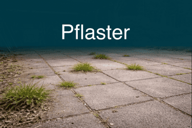 Unkrautfuchs 4.0 Unkraut bekmpfen auf Pflastersteinen_c