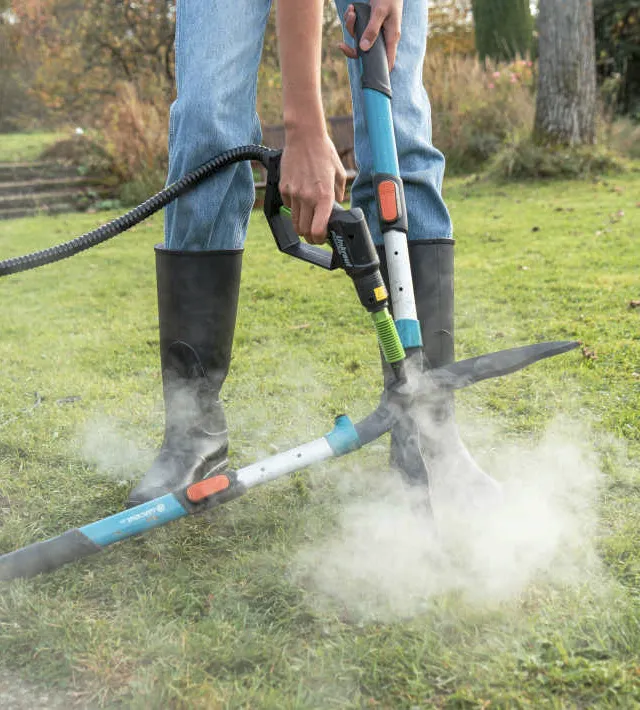 Unkrautfuchs Damfreiniger heisses Wasser biologisch Werkzeug Reinigen