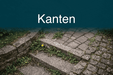 Unkrautfuchs 4.0 Unkraut bekmpfen in Ecken Kanten und Bodenrinnen_c